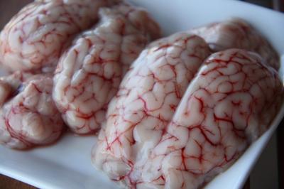 2 cách chế biến óc bò cực ngon các quán ăn không nên bỏ qua!