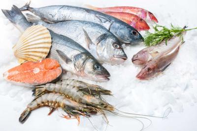 Bảng Giá Phân Phối Thực Phẩm Đông Lạnh Giá Sỉ Tháng 1/2024