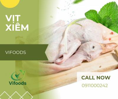 Vịt xiêm giá rẻ, mua hàng uy tín tại đâu ?